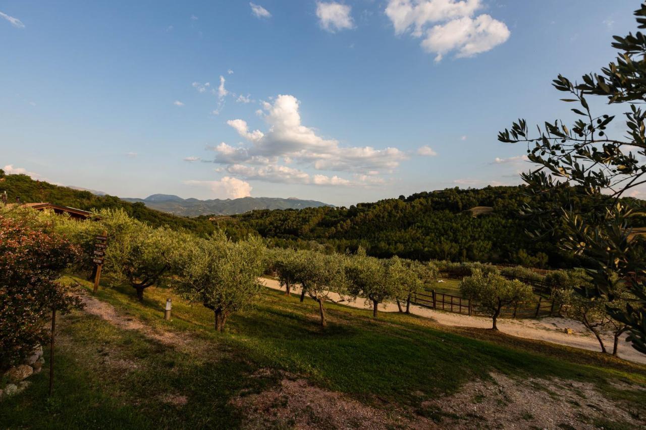 Agriturismo Agrileisuretime Spoleto Exteriér fotografie