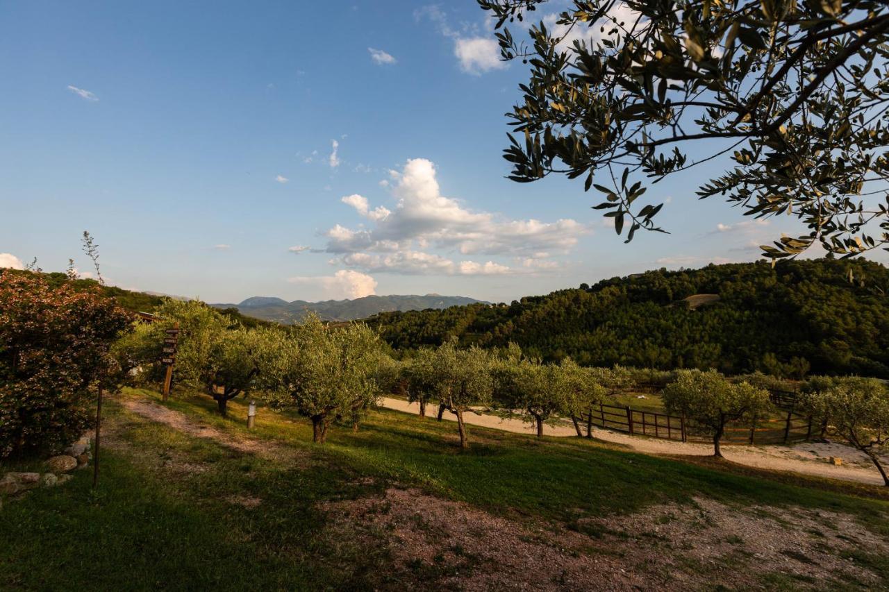 Agriturismo Agrileisuretime Spoleto Exteriér fotografie