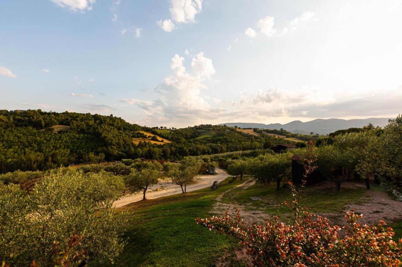 Agriturismo Agrileisuretime Spoleto Exteriér fotografie