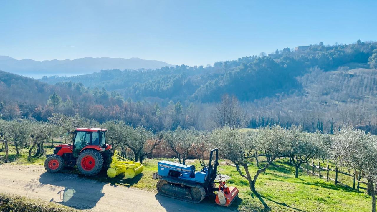Agriturismo Agrileisuretime Spoleto Exteriér fotografie